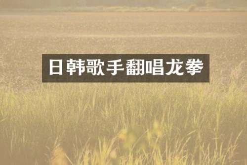 日韩歌手翻唱龙拳