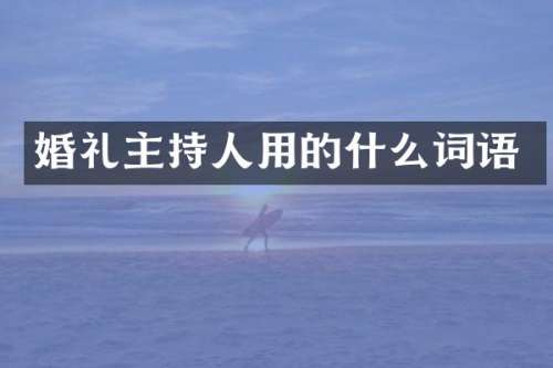 婚礼主持人用的什么词语