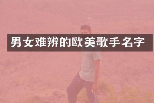 男女难辨的欧美歌手名字