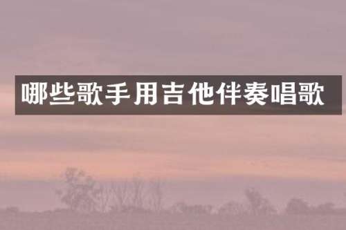 哪些歌手用吉他伴奏唱歌