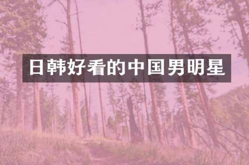 日韩好看的中国男明星