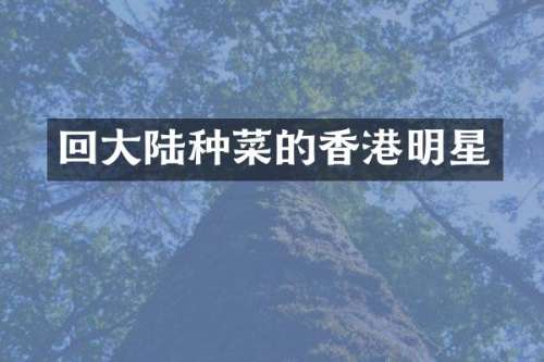 回大陆种菜的香港明星