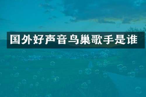国外好声音鸟巢歌手是谁