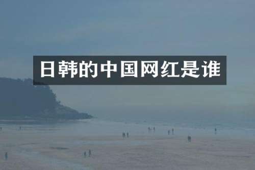 日韩的中国网红是谁