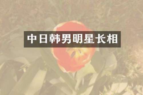 中日韩男明星长相