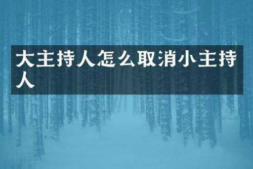 大主持人怎么取消小主持人