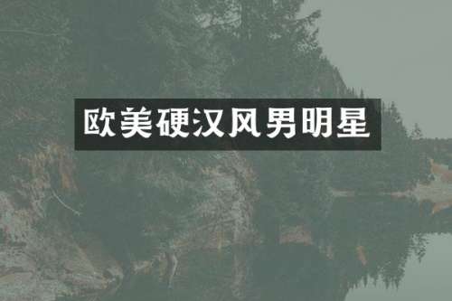欧美硬男明星