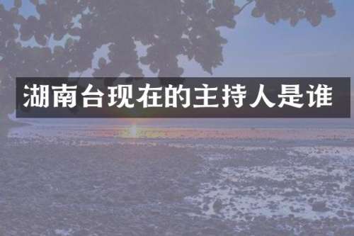 湖南台现在的主持人是谁