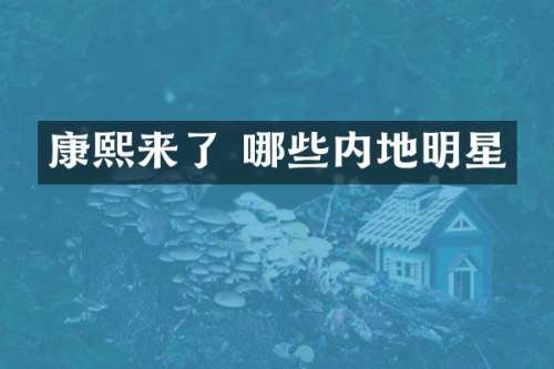 康了 哪些内地明星