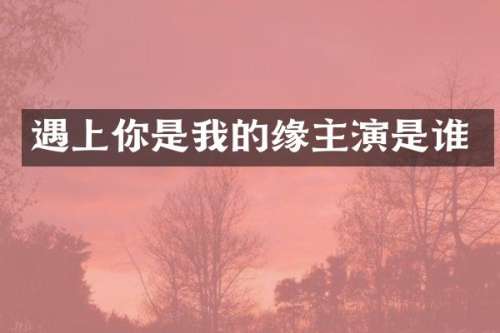遇上你是我的缘主演是谁