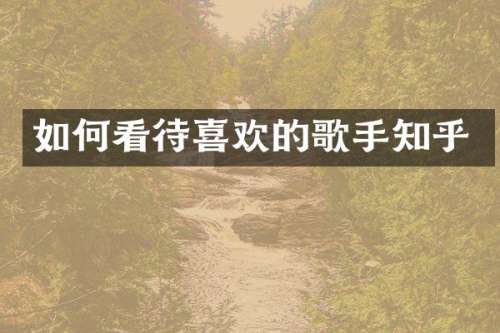 如何看待喜欢的歌手知乎