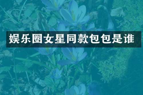 娱乐圈女星同款包包是谁