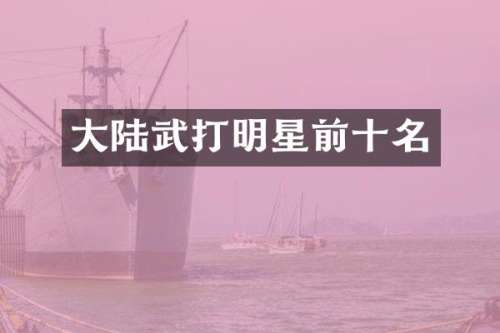 大陆武打明星前十名