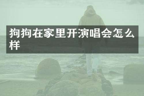 狗狗在家里开演唱会怎么样