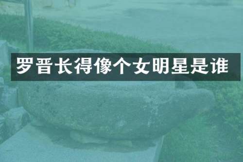 罗晋长得像个女明星是谁