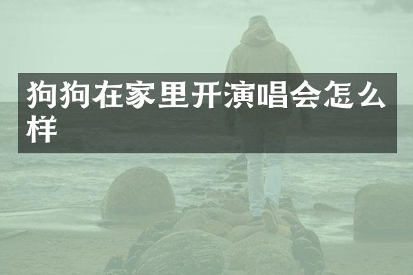 狗狗在家里开演唱会怎么样