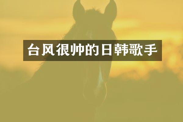 台风很帅的日韩歌手