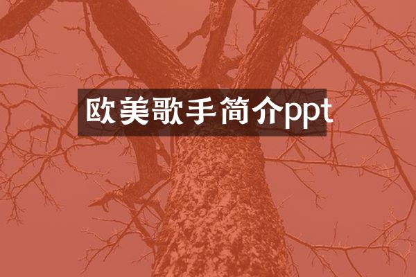 欧美歌手简介ppt