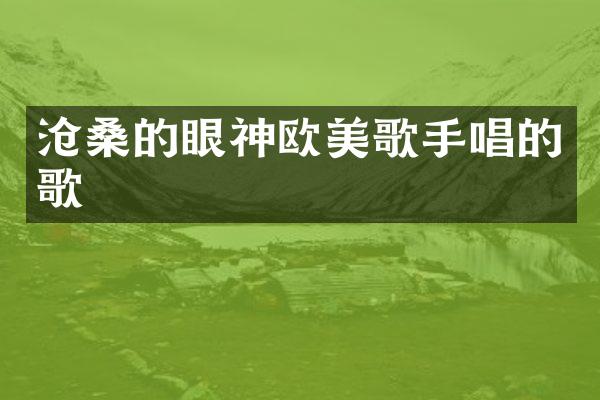 沧桑的眼神欧美歌手唱的歌