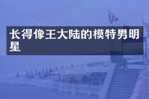 长得像王大陆的模特男明星