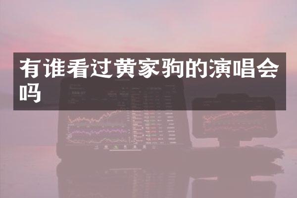 有谁看过黄家驹的演唱会吗