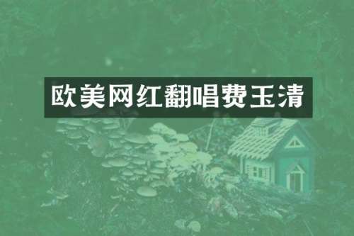 欧美网红翻唱费玉清