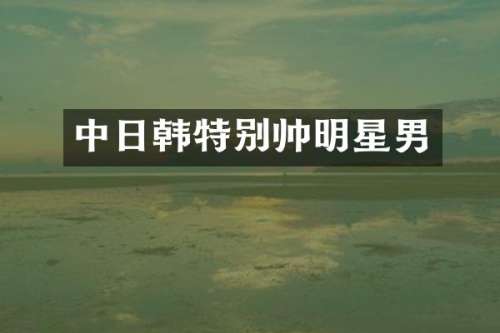 中日韩特别帅明星男