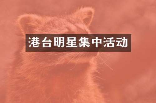 港台明星集中活动
