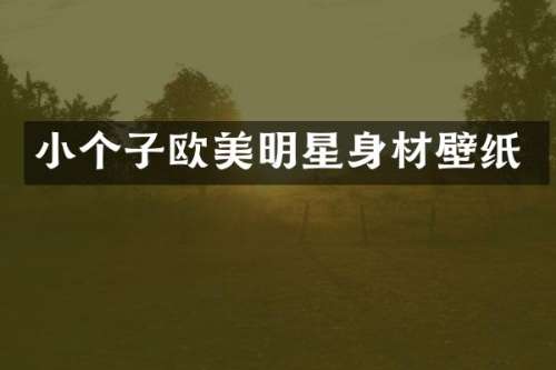 小个子欧美明星身材壁纸