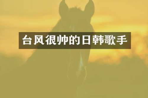 台风很帅的日韩歌手