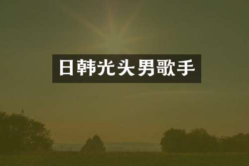日韩光头男歌手