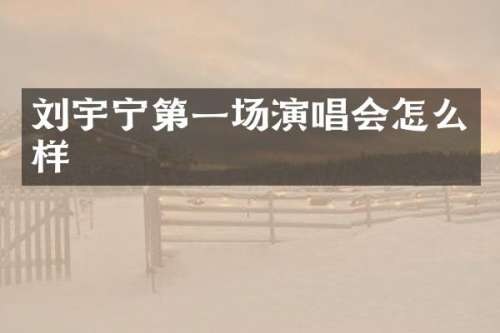 刘宇宁第一场演唱会怎么样