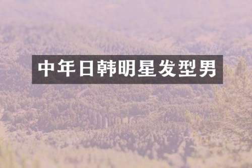 中年日韩明星发型男
