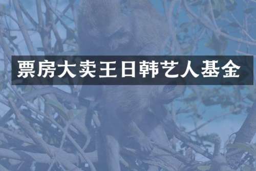票房大卖王日韩艺人基金