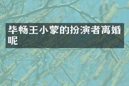 毕畅王小蒙的扮演者离婚呢
