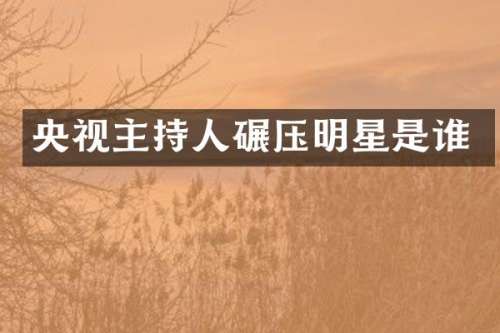 央视主持人碾压明星是谁