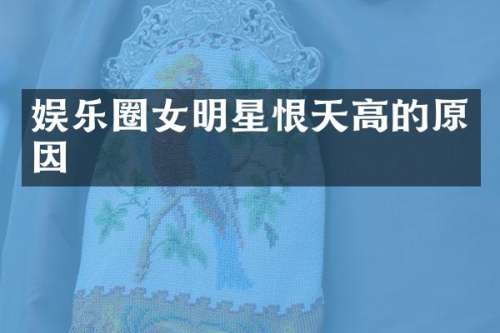 娱乐圈女明星恨天高的原因