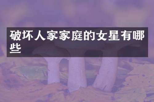 破坏人家家庭的女星有哪些