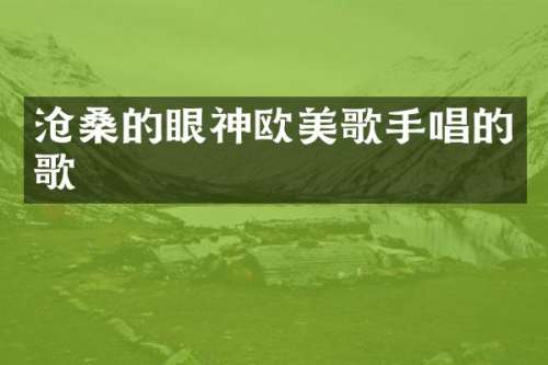 沧桑的眼神欧美歌手唱的歌
