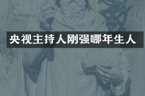 央视主持人刚强哪年生人