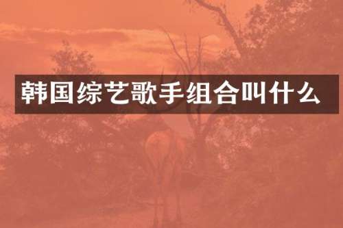 韩国综艺歌手组合叫什么