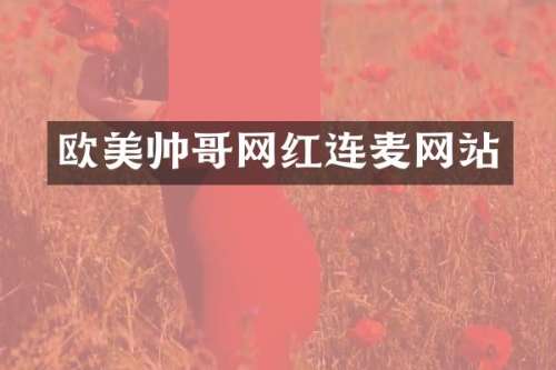 欧美帅哥网红连麦网站