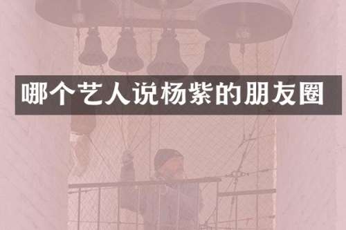 哪个艺人说杨紫的朋友圈
