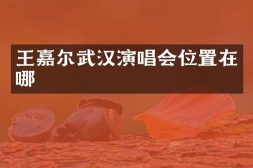 王嘉尔武汉演唱会位置在哪