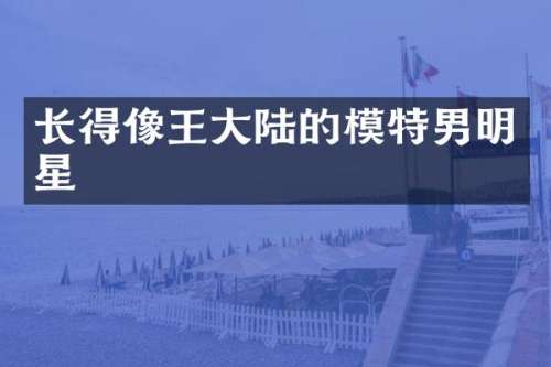 长得像王大陆的模特男明星