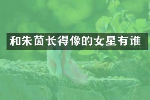 和朱茵长得像的女星有谁