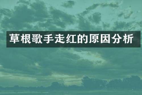 草根歌手走红的原因分析
