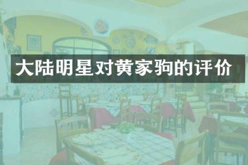 大陆明星对黄家驹的评价