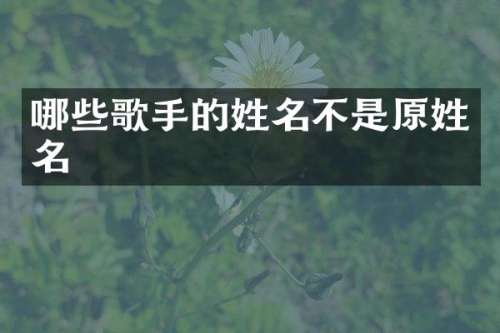 哪些歌手的姓名不是原姓名