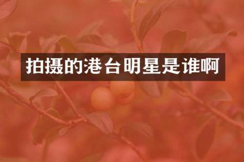 拍摄的港台明星是谁啊